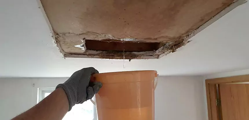 Ceiling Mold Repair Griffin